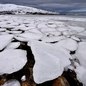 aacomp tromsö 20140210 1607