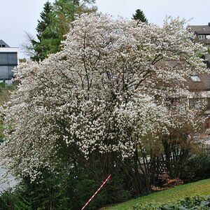 DSC 0985 1024