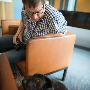 hotelhund5