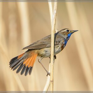 20140420 7843 [NIKON D7100] 850 mm,1 1250 Sek. bei ƒ   8,0