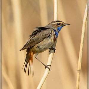 20140420 7844 [NIKON D7100] 850 mm,1 1250 Sek. bei ƒ   8,0