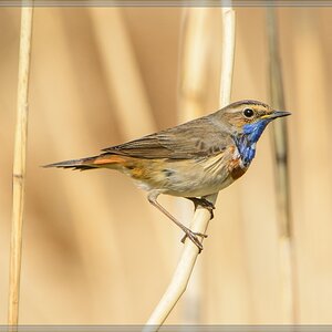20140420 7849 [NIKON D7100] 850 mm,1 1250 Sek. bei ƒ   8,0