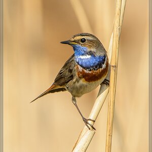 20140420 7897 [NIKON D7100] 850 mm,1 1250 Sek. bei ƒ   8,0