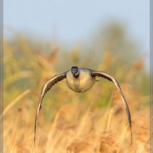 20140419 7588 [NIKON D7100] 850 mm,1 1250 Sek. bei ƒ   8,0