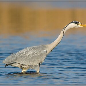 20140419 7516 [NIKON D7100] 850 mm,1 1250 Sek. bei ƒ   8,0
