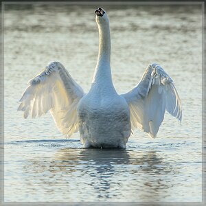 20140420 7690 [NIKON D7100] 850 mm,1 1250 Sek. bei ƒ   8,0