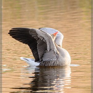 20140420 7712 [NIKON D7100] 850 mm,1 500 Sek. bei ƒ   8,0