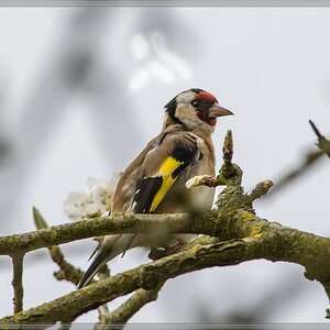 20140405 6690 [NIKON D7100] 500 mm,1 250 Sek. bei ƒ   8,0