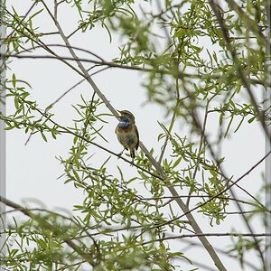 20140405 6617 [NIKON D7100] 500 mm,1 800 Sek. bei ƒ   8,0