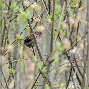 20140405 6612 [NIKON D7100] 500 mm,1 200 Sek. bei ƒ   8,0