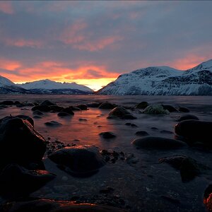 aacomp tromsö 20140213 3793a