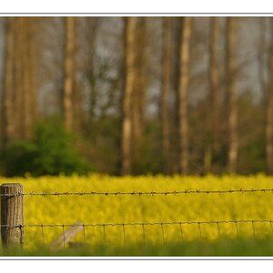 Compressed 0578