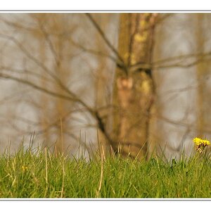 Compressed 0576