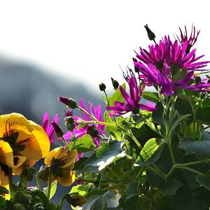 Frühling 05