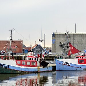 TZ ZIM 2278