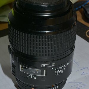 DSC 8176