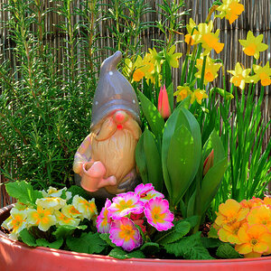Blumen mit Zwerg2