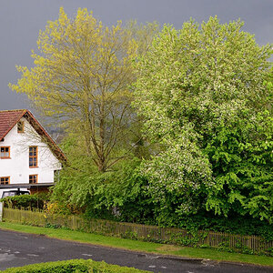 Nach demGewitter 2014 3009