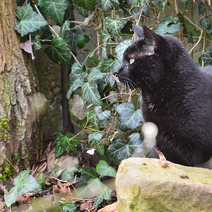 DSC 0412 khg