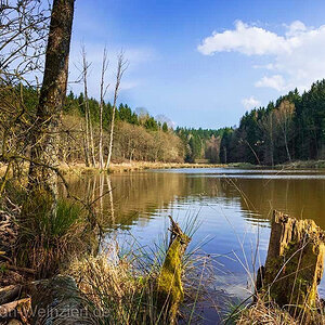 ©MaximilianWeinzierl©MaximilianWeinzierlDF1 3417