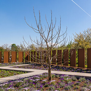 RM7 6093 2
