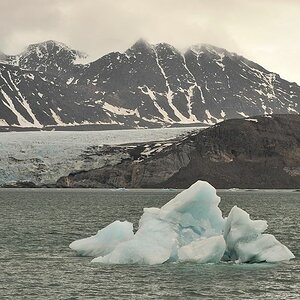 Eisberg am Ende des Kongsfjord
 7781
