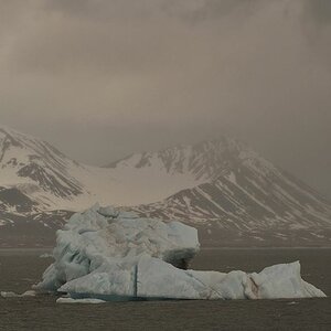 Eisberg am Ende des Kongsfjord
7725