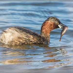 20140329 6141 [NIKON D7100] 850 mm,1 1000 Sek. bei ƒ   8,0 2