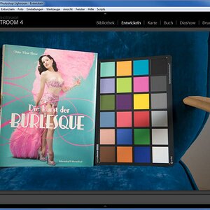 Adobe Profiler
