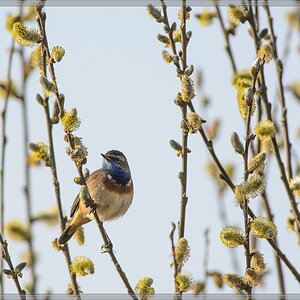 20140330 6291 [NIKON D7100] 500 mm,1 800 Sek. bei ƒ   5,6