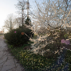 westfalenpark2