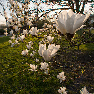 westfalenpark3