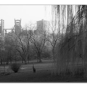 westfalenpark sw