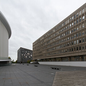 DSC 4931