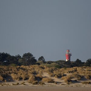 comp DSC 1174 bearbeitet