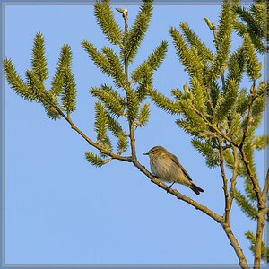 20140330 6205 [NIKON D7100] 500 mm,1 800 Sek. bei ƒ   8,0
