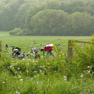 20140501 1124 [NIKON 1 V3] 32 mm,1 1250 Sek. bei ƒ   2,8