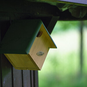 20140501 DSC00677