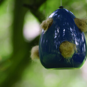 20140501 DSC00680