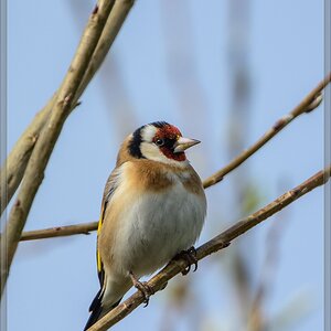 20140406 6863 [NIKON D7100] 850 mm,1 1250 Sek. bei ƒ   6,3