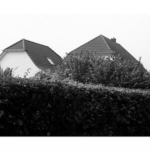 neuenkirchen5