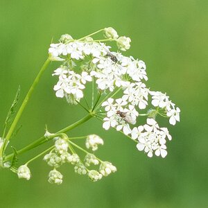 20140501 5010264 [E M1] 45 mm,1 2500 Sek. bei ƒ   2,8