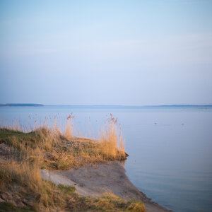 gnitz1