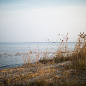 gnitz4