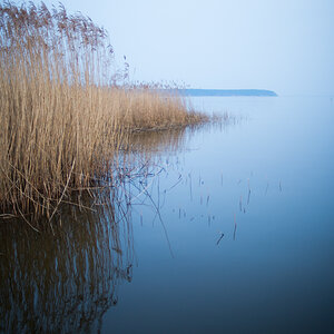 neeberg 0314