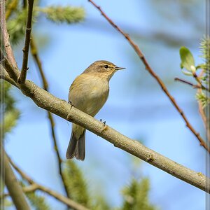 20140406 6916 [NIKON D7100] 600 mm,1 1000 Sek. bei ƒ   6,3