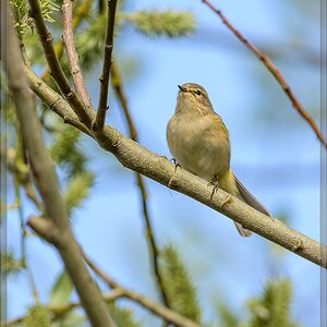 20140406 6917 [NIKON D7100] 600 mm,1 1000 Sek. bei ƒ   6,3