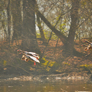 DSC 0787 khg