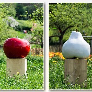 Apfel und Birne