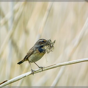 20140422 0317 [NIKON 1 V3] 600 mm,1 400 Sek. bei ƒ   4,0